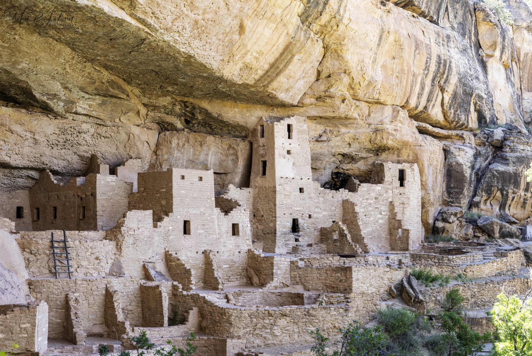 /gallery/north_america/USA/Colorado/mesa verde/Mesa Verde NP June 2025-012_med.jpg